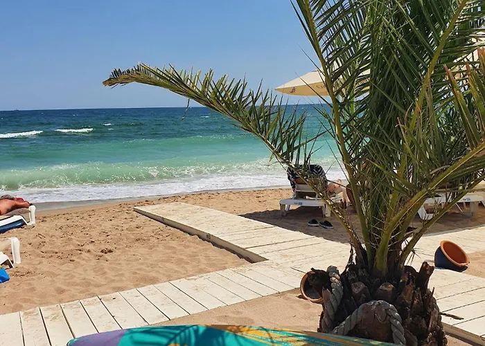 Elkette - Pool & Năvodari